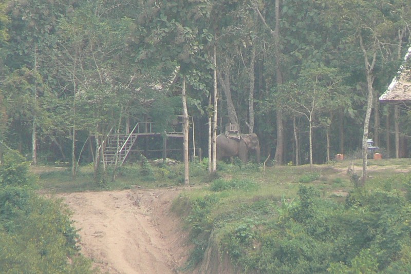 38 Fiume Mekong Luan Prabang